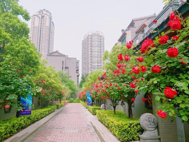 亚星代理管理网